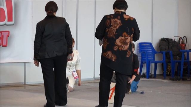 Выставка 19 01 14 Йорки смотреть онлайн