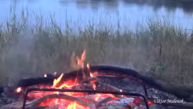 Стих Александра Тучи смотреть онлайн