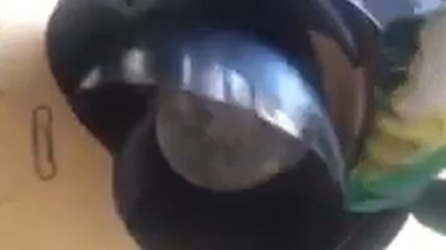 Видео как выглядит танталовая металлическая полоса и фольга смотреть онлайн