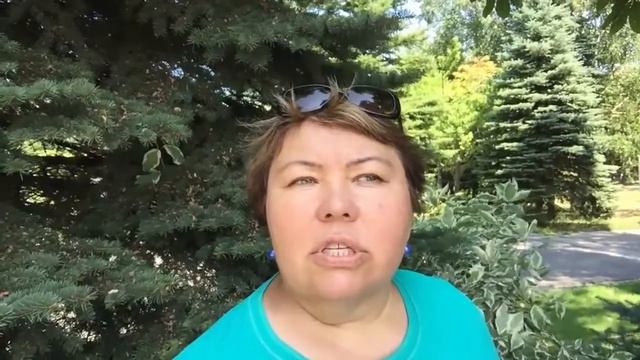 О Школе Космоэнегетики смотреть онлайн