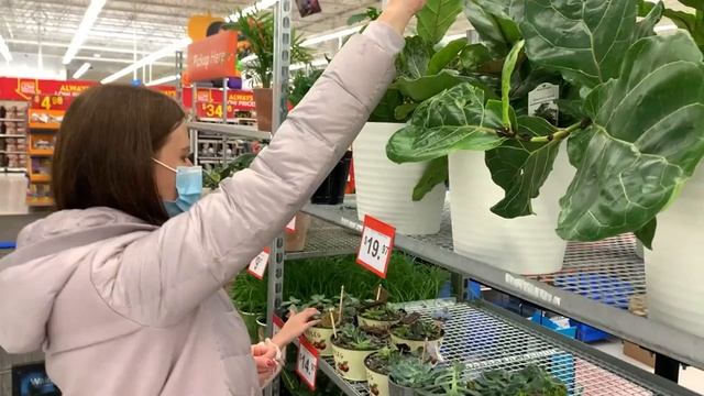 КАНАДА ВЛОГ | Покупки В Волмарт На Новоселье К Друзьям смотреть онлайн