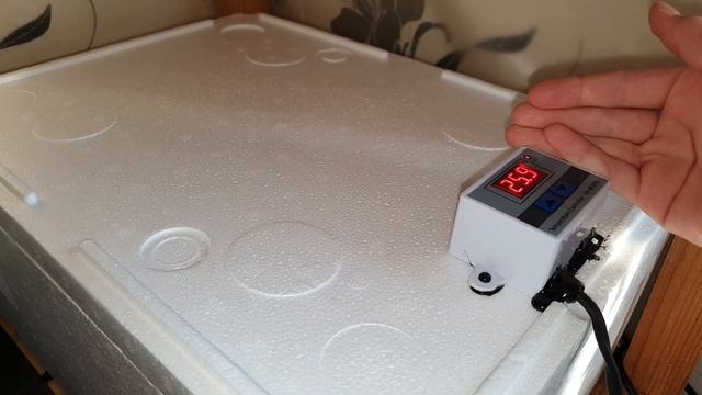 Инкубация яиц эублефара смотреть онлайн