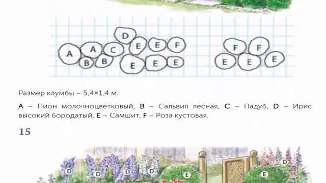 30 схем как оформить клумбу из многолетников, которая будет цвести все лето смотреть онлайн