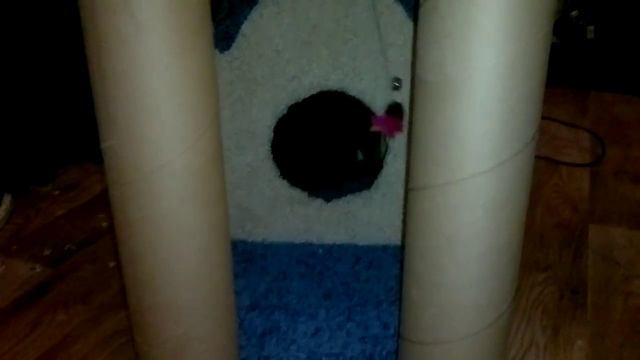 Плюшкин комплекс #когтеточка своими руками смотреть онлайн