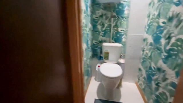 Однокомнатная / Амурский 1-й пр-д 3к1 / Омск смотреть онлайн