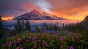 Истории из жизни Наглый муж с родственниками уже решили, куда они потратя Жизненные истории рассказ