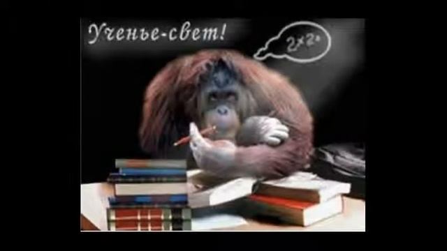 День Студента В Ютубе... смотреть онлайн