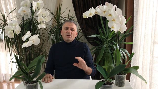 ORKİDEM NEDEN ÇİÇEK AÇMIYOR