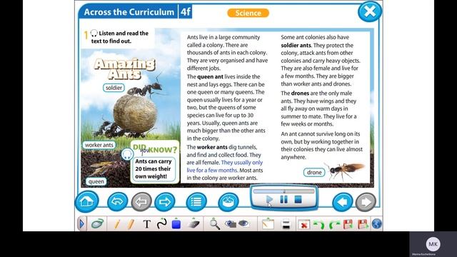 Excel 5 Module 4 ex 1 p 54 Amazing ants Listen and read смотреть онлайн