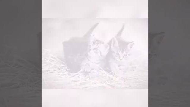 САМАЯ ЛУЧШАЯ, РАССЛАБЛЯЮЩАЯ МУЗЫКА ДЛЯ СНА!!! РЕЛАКС!!! смотреть онлайн