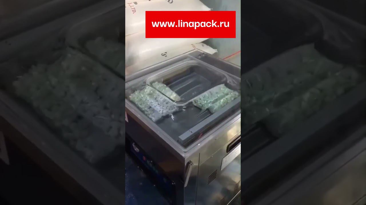Как работает вакуумный упаковщик? Пример запайки пакетов на аппарате DZ-500/2F смотреть онлайн
