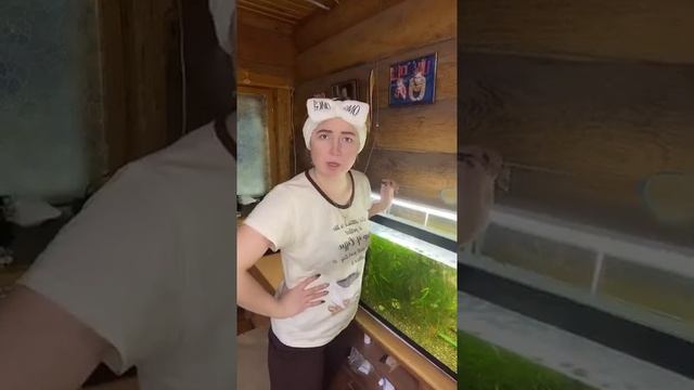 А какими тебя называют ласковыми словами?#буднипродавца ￼ смотреть онлайн