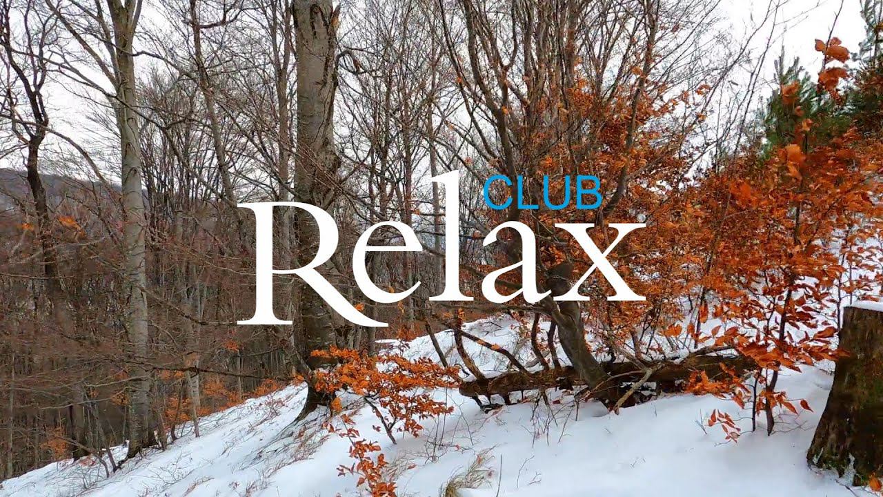 Музыка для сна и релакса. Зимний лес. смотреть онлайн