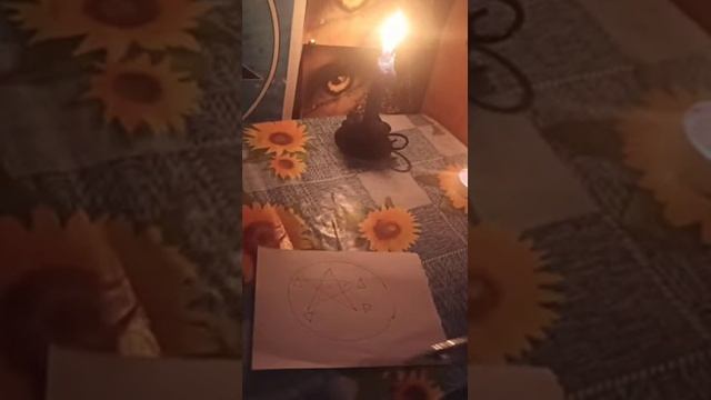 как стать ведьмой смотреть онлайн