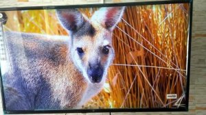 Обзор на телевизор Hi VHIT-40F152MS