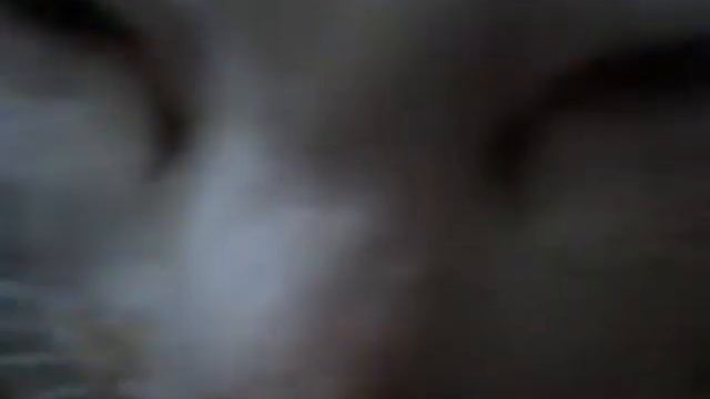 У кошки Киси родились котята . смотреть онлайн