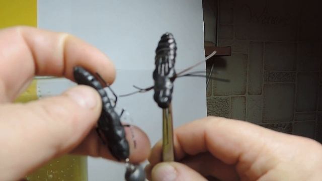 Super realistic Dragonfly nymph........ЛИЧИНКИ СТРЕКОЗЫ . смотреть онлайн