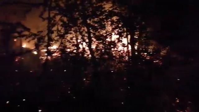 В ночь на 19 мая горели дачи в Бердске смотреть онлайн
