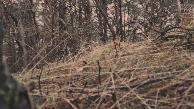 GRIT - Post apocalyptic short film смотреть онлайн