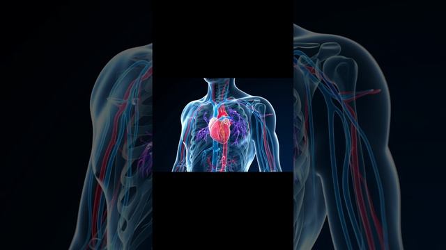 Чему способствуют прыжки через скакалку? #shorts смотреть онлайн