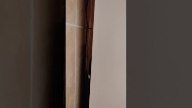 стучит холодильник смотреть онлайн