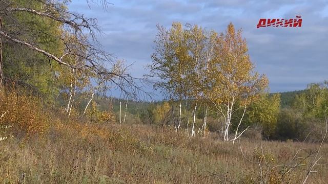 Якутия с Александром Борисовым. Эпизод 10. смотреть онлайн