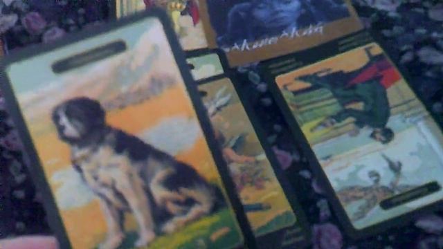 Queen of Pentacles/rose button: Gypsy Oracle reading (1) смотреть онлайн