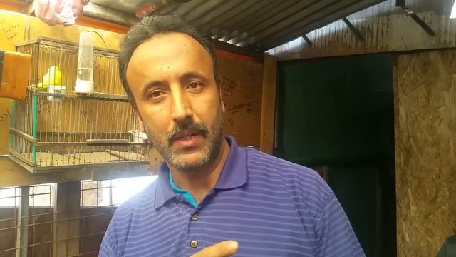 كنطرول عند البطل الكبير كومحان إسماعيل لمسابقة اركانة 2 عن جمعية ملتقى الأبطال смотреть онлайн