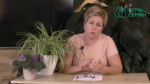 ОТВЕЧАЮ НА ВАШИ ВОПРОСЫ О САДОВОДСТВЕ! смотреть онлайн