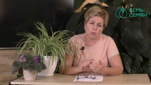 ОТВЕЧАЮ НА ВАШИ ВОПРОСЫ О САДОВОДСТВЕ!