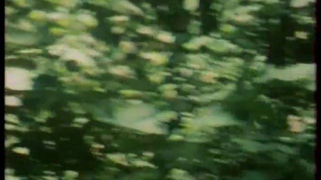 Листая Красную книгу смотреть онлайн