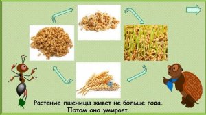 Как живут растения? Окружающий мир 1 класс УМК Школа России 16.12.2022