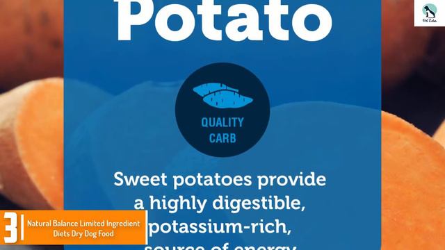 ✅ 5 Best Dog Food for Border Collies of 2023 смотреть онлайн