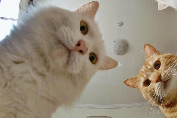 МЕМЫ ПАДБОРКА