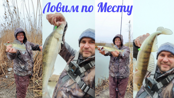 ПО МЕСТУ ловим СУДАКА #краснодарскийкрай #shortsvideo #ловля #судак