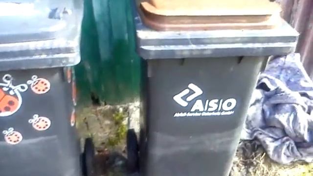 ГЕРМАНИЯ.ПЛЮС 18 В НАЧАЛЕ МАРТА МУСОР И СОБАКИ.11.03.2015. смотреть онлайн