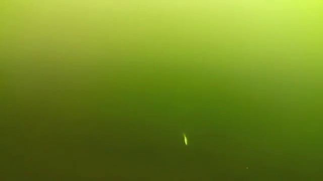 Поведение рыбы подо льдом / Зимняя рыбалка смотреть онлайн