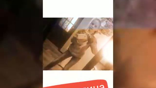 Наши фотки ,но их не много.💖 смотреть онлайн