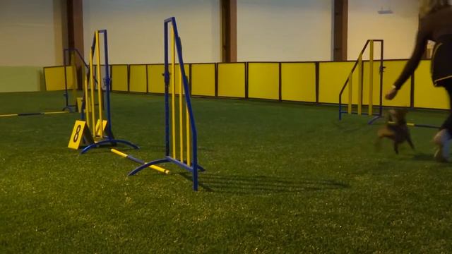 Грейн Монтегю и Жерар Батлер: тренировка в DogS HaLL. 14.01. 2017 смотреть онлайн