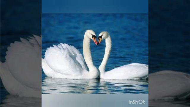 Музыка 7-класс, 19 кылым орус элинин музыкасы смотреть онлайн