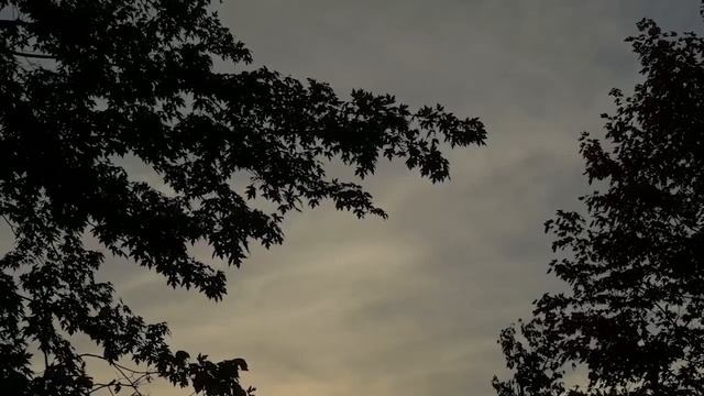 Расслабляющая Фортепианная Музыка • Музыка Сна, Звуки Воды, Расслабляющая Музыка, Музыка Для Медита смотреть онлайн