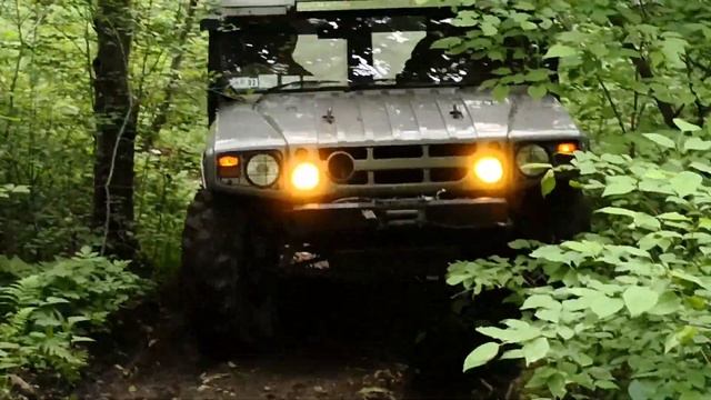 Toyota Mega Cruiser (10.06.2018)