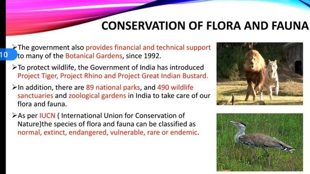 Conservation of Flora and Fauna 'Natural Vegetation and Wildlife' смотреть онлайн