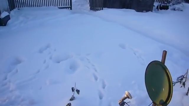 Спутниковая антенна из крышки для ведра)) смотреть онлайн