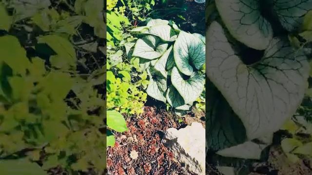 Стамбул-Санкт-Петербург. Точка на карте- Ириновка (Лен.область)😍 смотреть онлайн