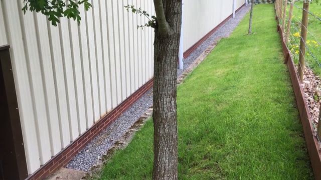 Common Hawthorn (Crataegus monogyna) - trunk - May 2018 смотреть онлайн