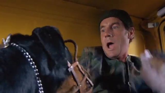 Dobermans In Movie    28    Доберманы в кино