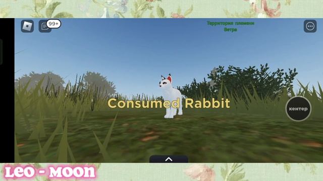 |LEO - MOON| ?КАК ПОЙМАТЬ ДИЧЬ в Warrior Cats Ultimate Edition - Roblox?