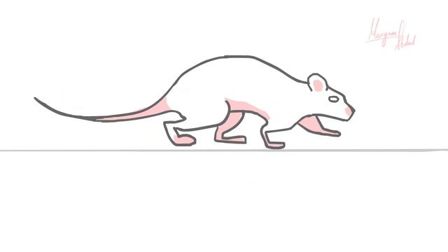 Animated walk/run cycle: Rat смотреть онлайн