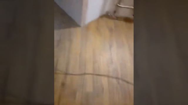 Ремонт квартир в Омске смотреть онлайн